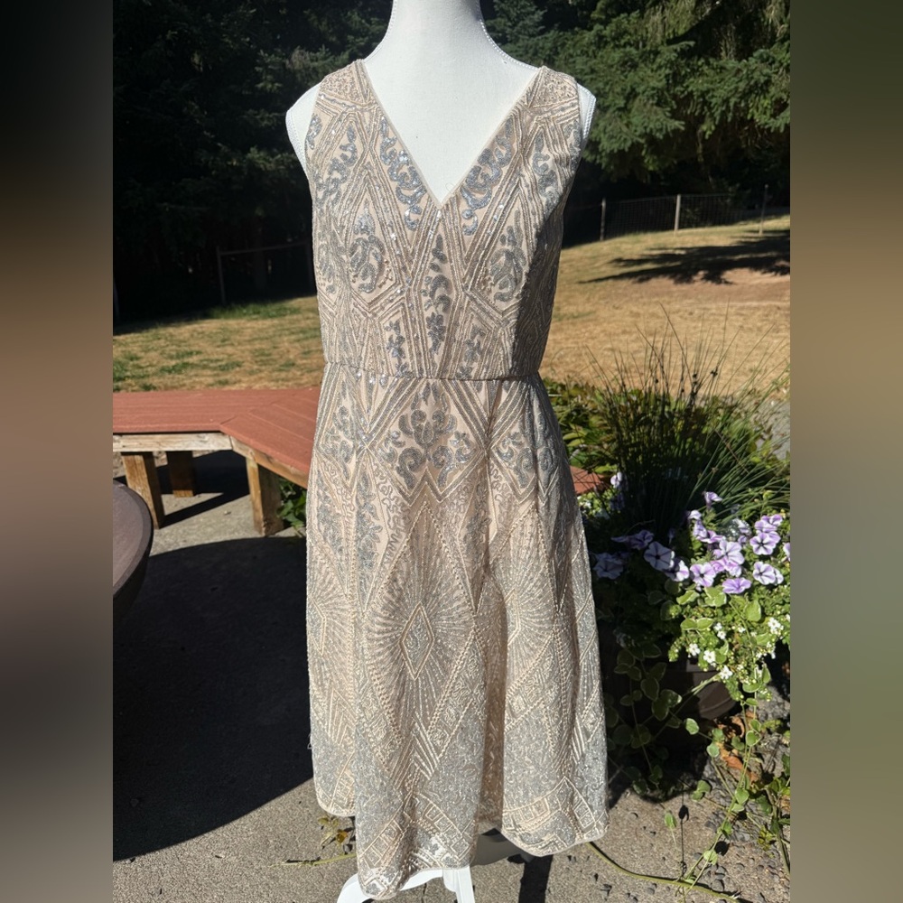 Stunning sequined dress.